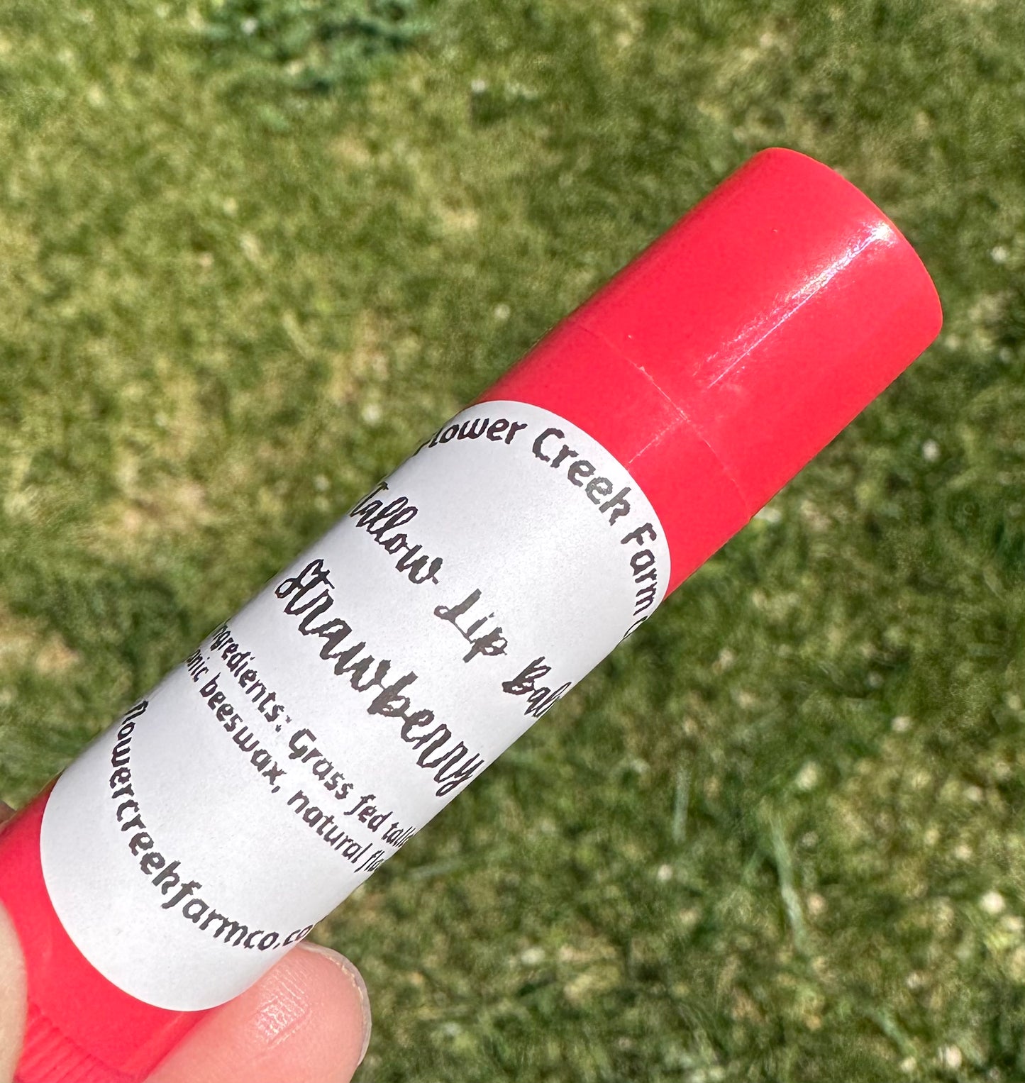 Tallow Lip balm