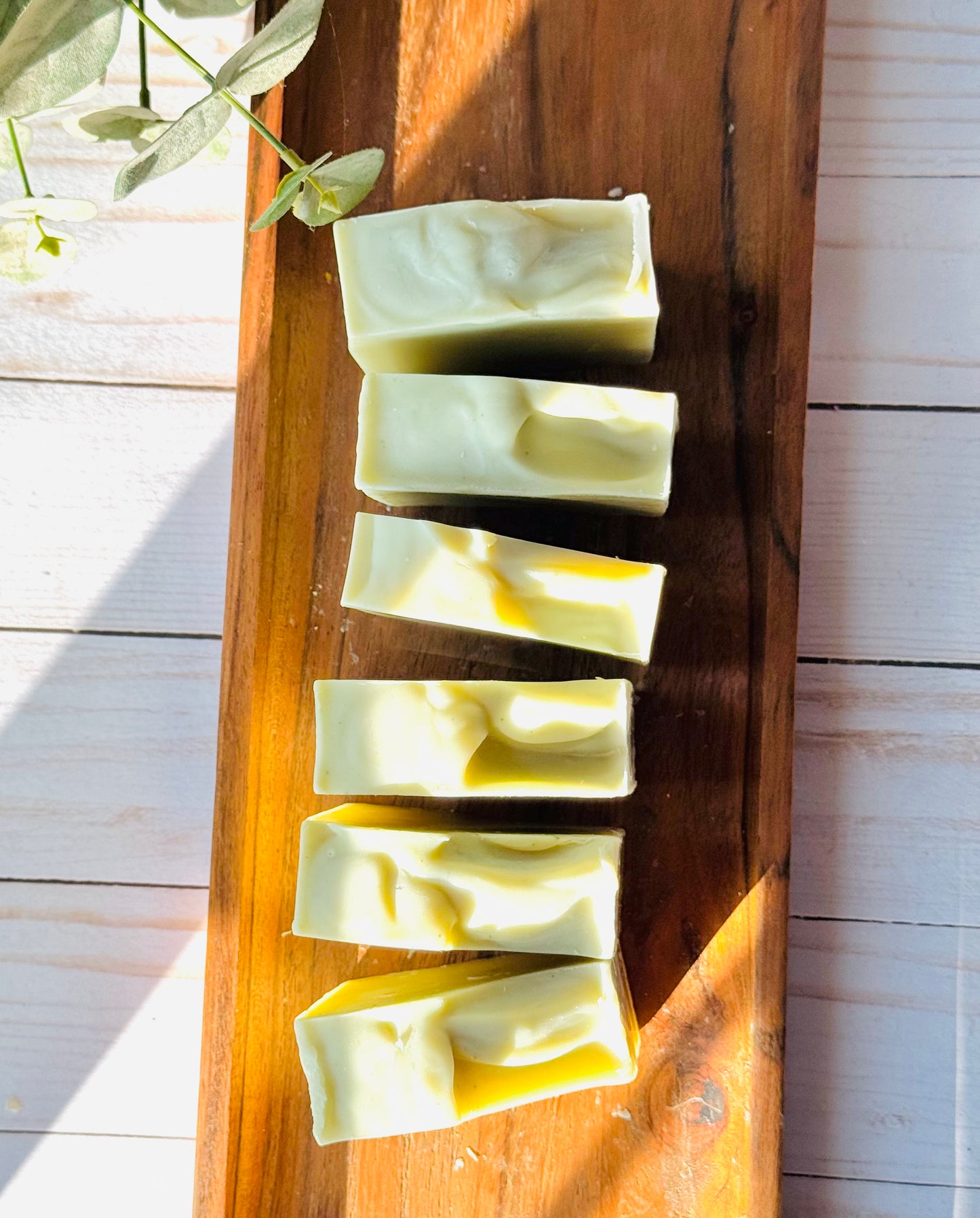 Cooling Cucumber + Aloe Vera Tallow Facial Soap