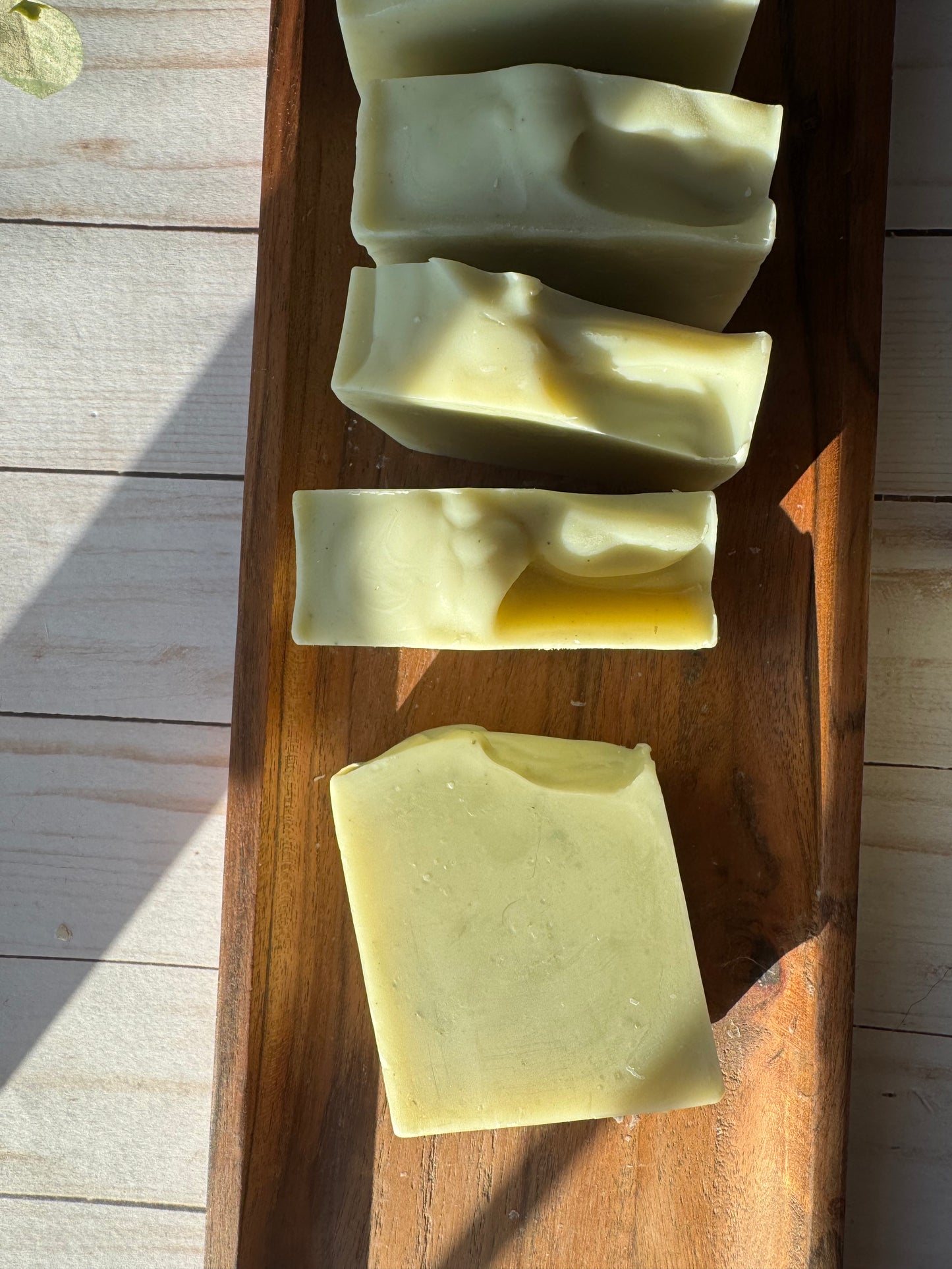 Cooling Cucumber + Aloe Vera Tallow Facial Soap