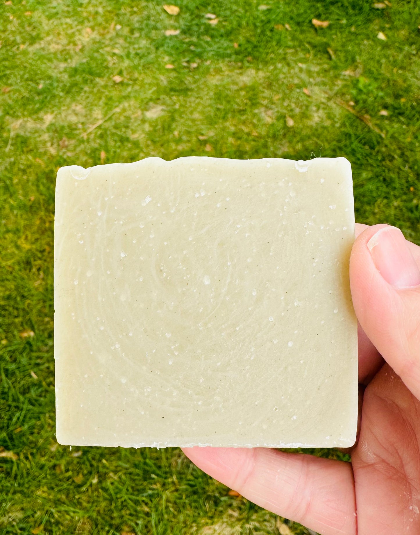 GLOW Tallow Facial Bar